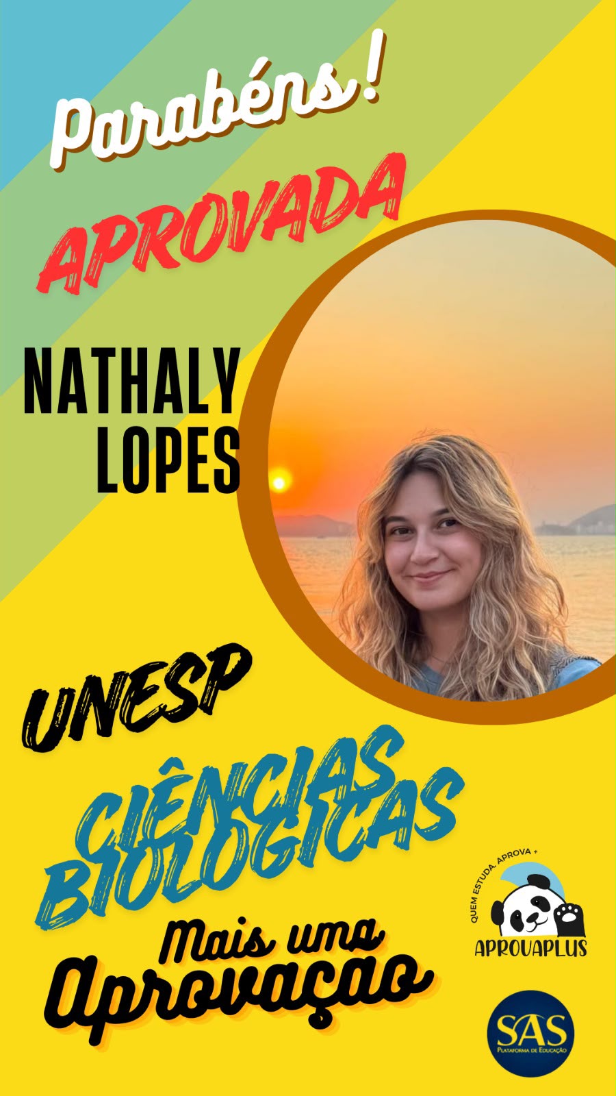 Aluno aprovado Aprova Plus 6